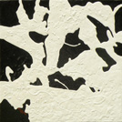 Great Holsteins