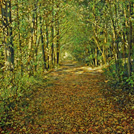 Gorge Trail II